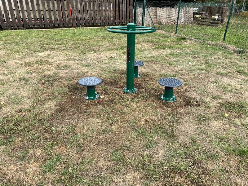 Wallington Community Primary School Gym Garden